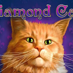 Diamond Cats