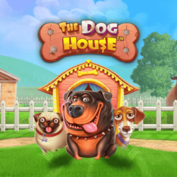 thedoghouse